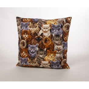 Sofapude eller pyntepude med mange forskellige katte